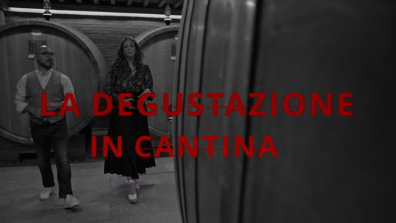 Degustazione in cantina