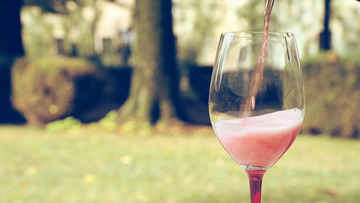 Lambrusco di Sorbara