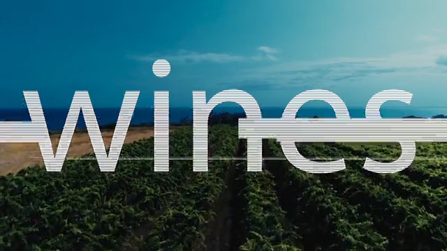 The Portrait of Abruzzo's Wines