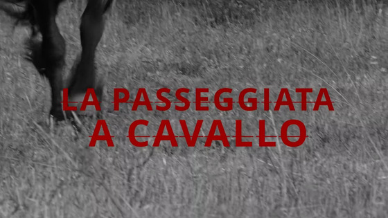 Passeggiata a cavallo