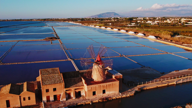 Vita in un Sughero - Donnafugata