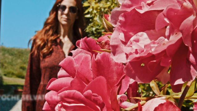 Life Tour Rosè