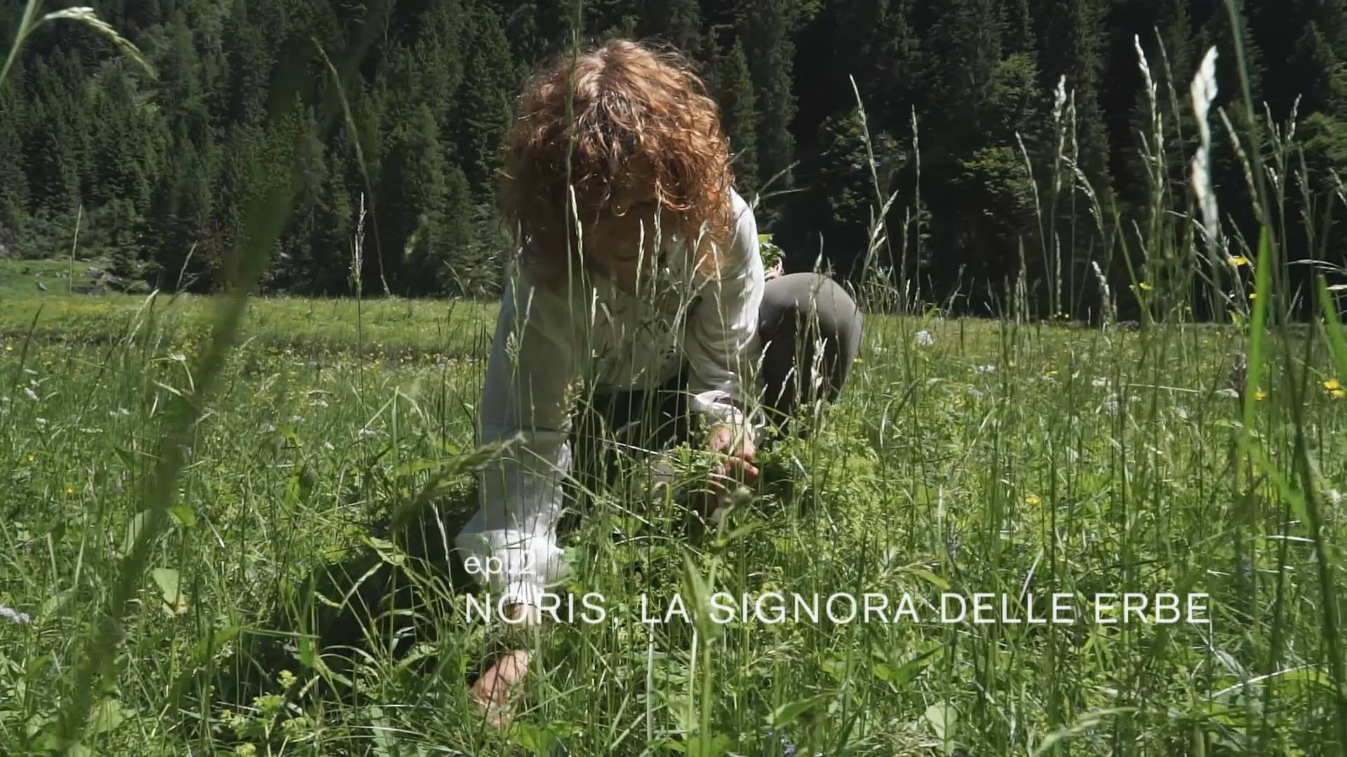 Noris, la signora delle erbe 30''