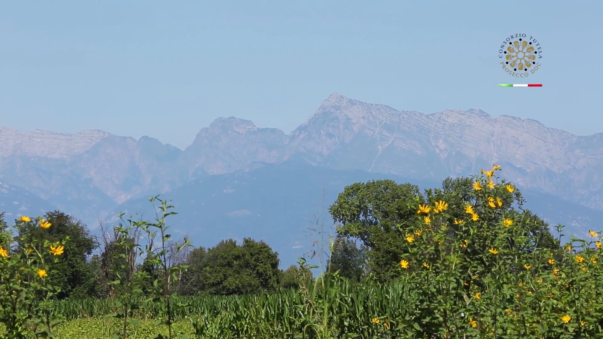 Il Friuli