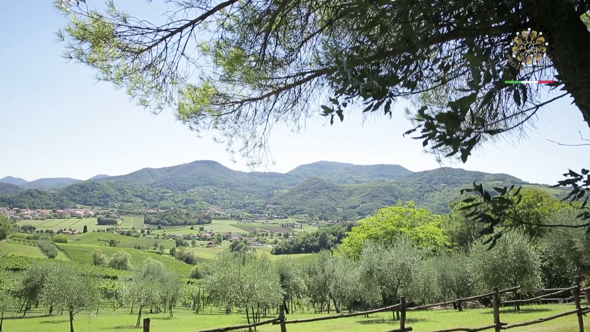 Provincia di Padova