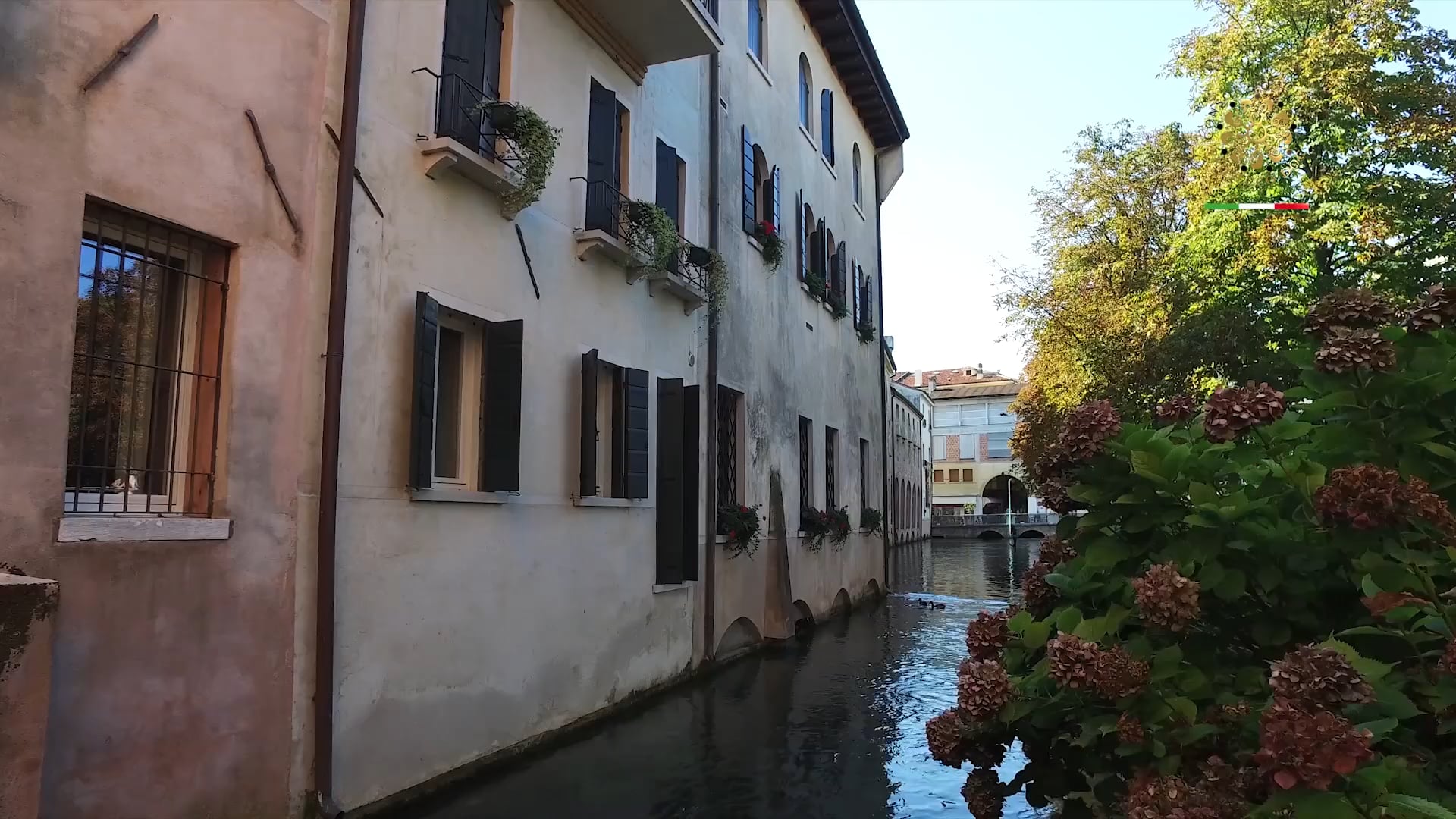 Provincia di Treviso